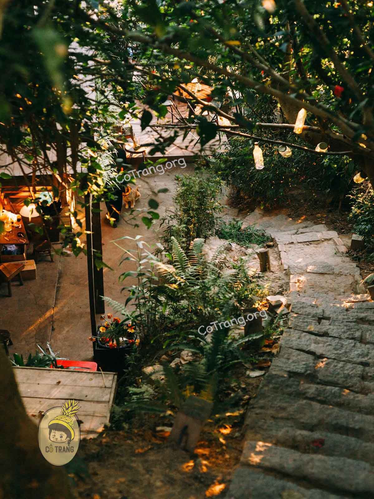 Không gian thực tế tại Cheo Veo Cafe Đà Lạt 