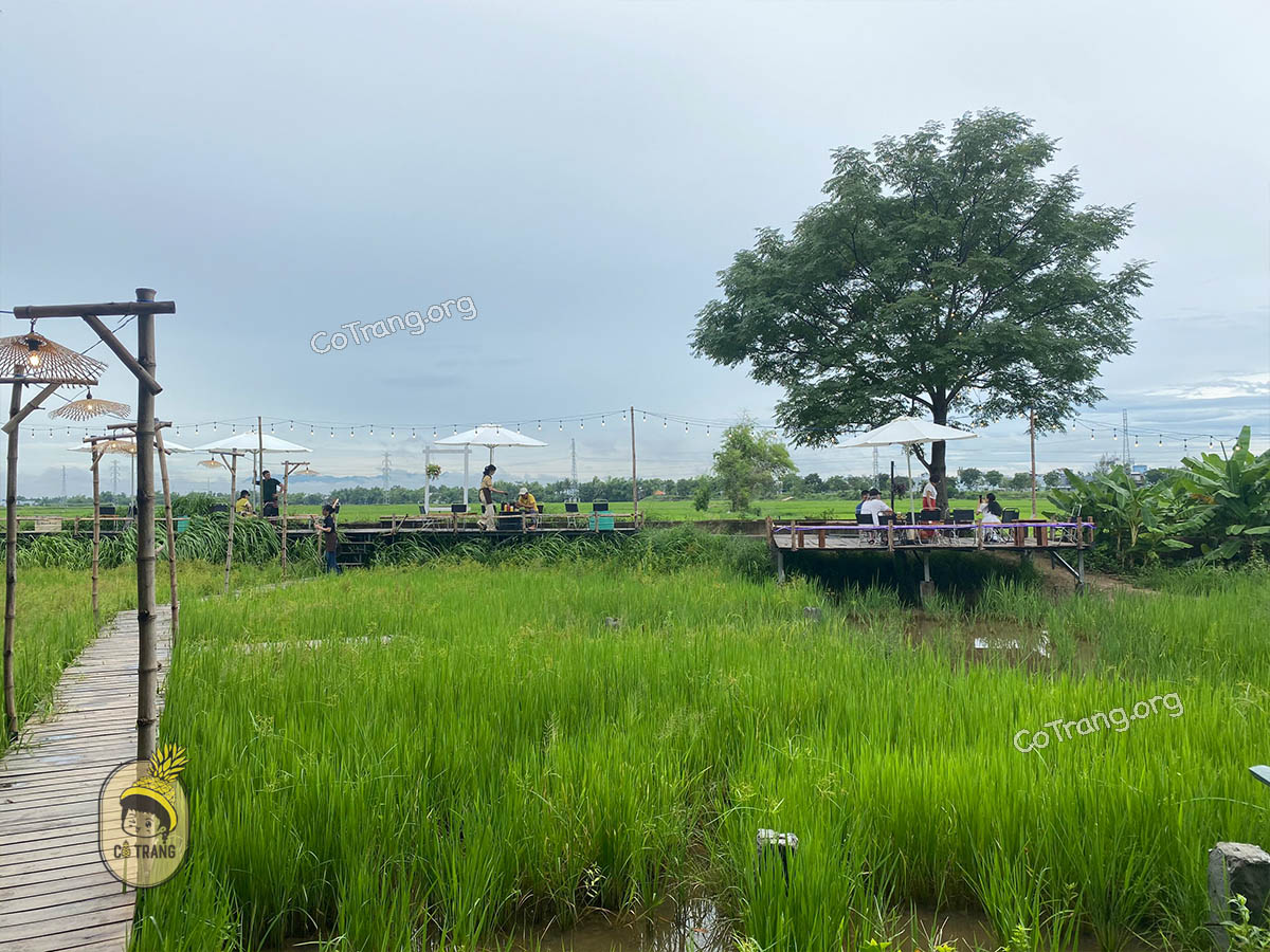 Không gian thực tế tại FIELD Coffee Đà Nẵng