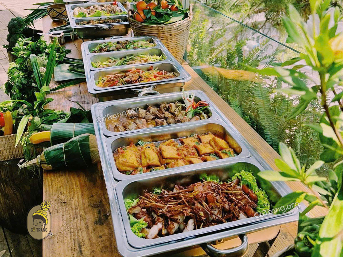 Dưới Tán Thông Đà Lạt - 1B, 26 Hẻm Hoàng Hoa Thám