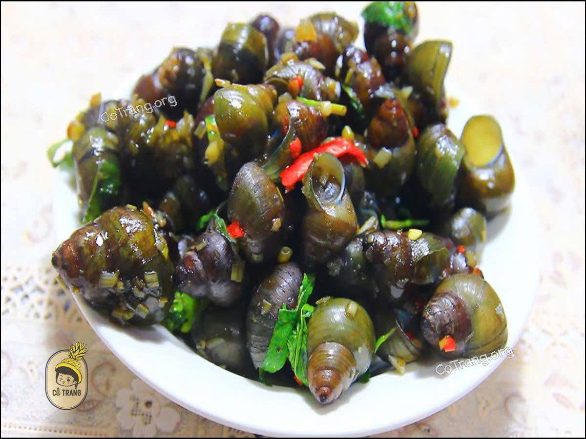 Ốc Hút Đà Nẵng - Món Ăn Đặc Sản Bình Dân