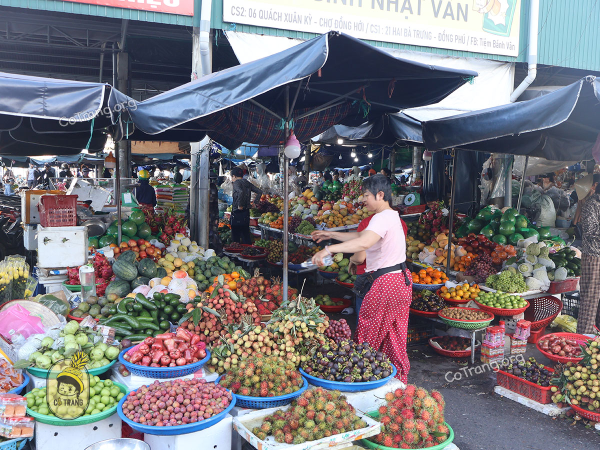 Không gian thực tế tại Chợ Đồng Hới