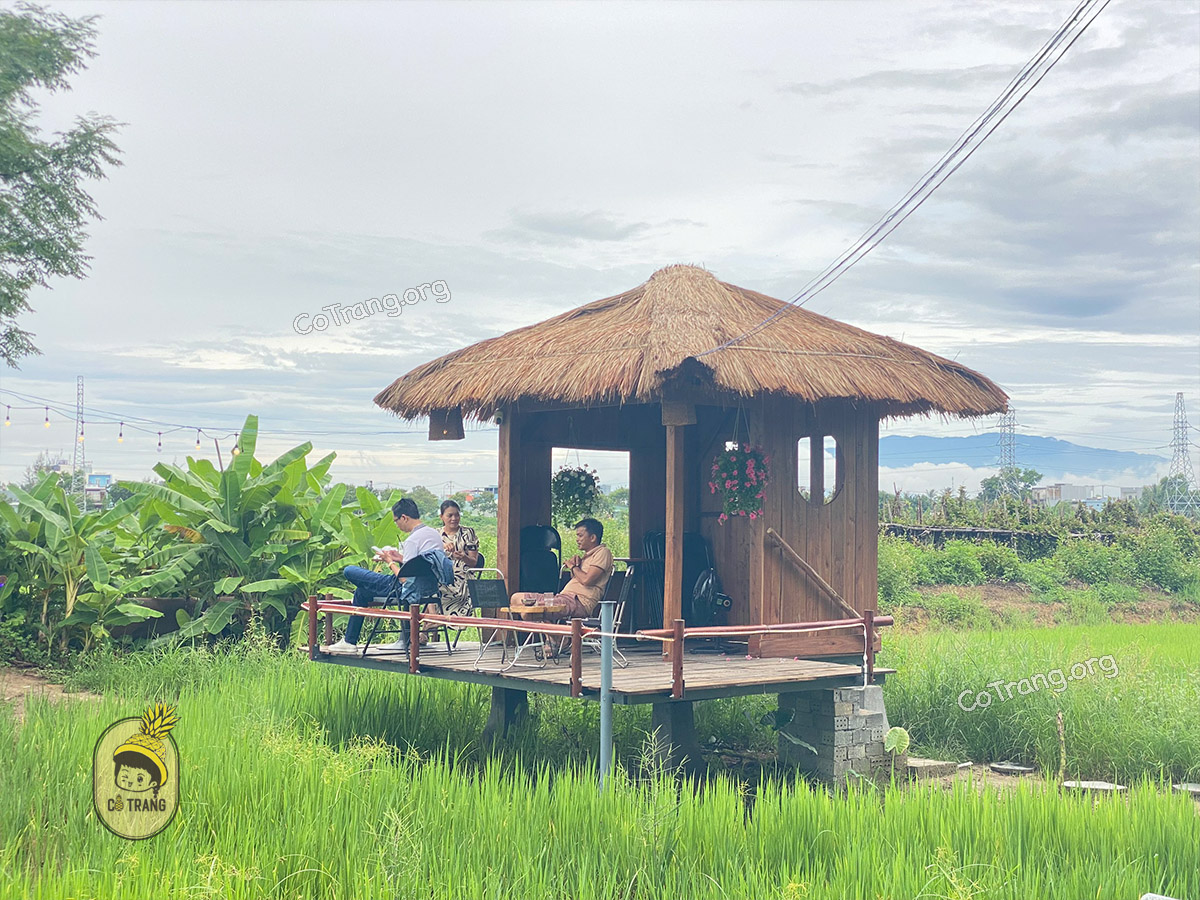 FIELD Coffee Đà Nẵng - kiệt 12 thôn Phong Nam, Hoà Vang