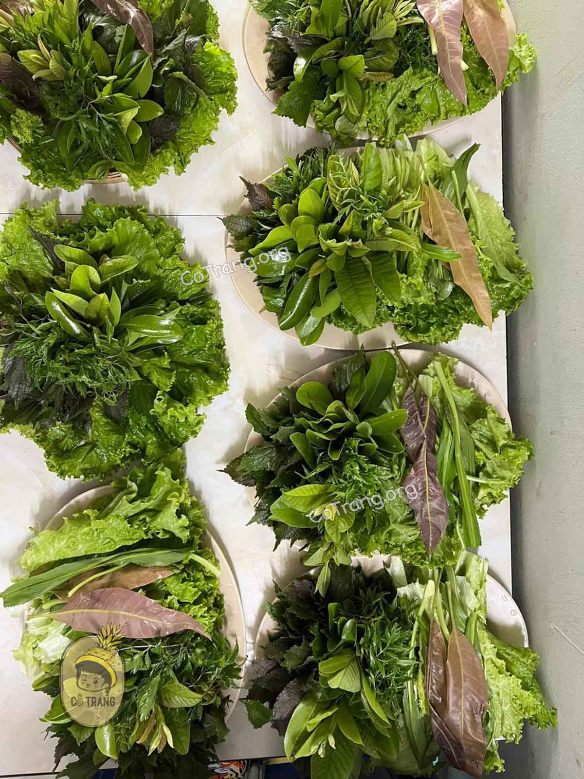 Gỏi Cá Nam Ô Đà Nẵng