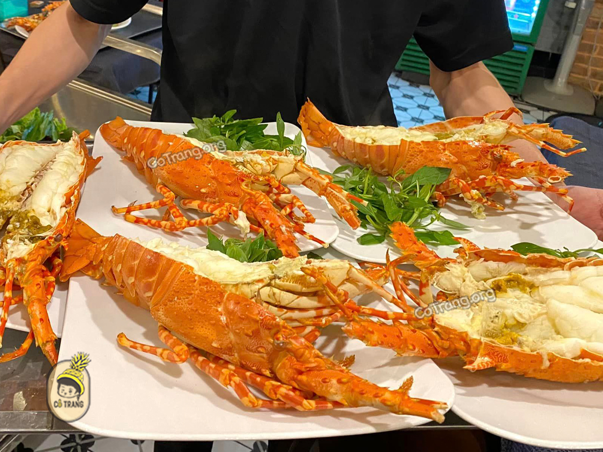Hình ảnh thực tế Tôm Hùm Nha Trang