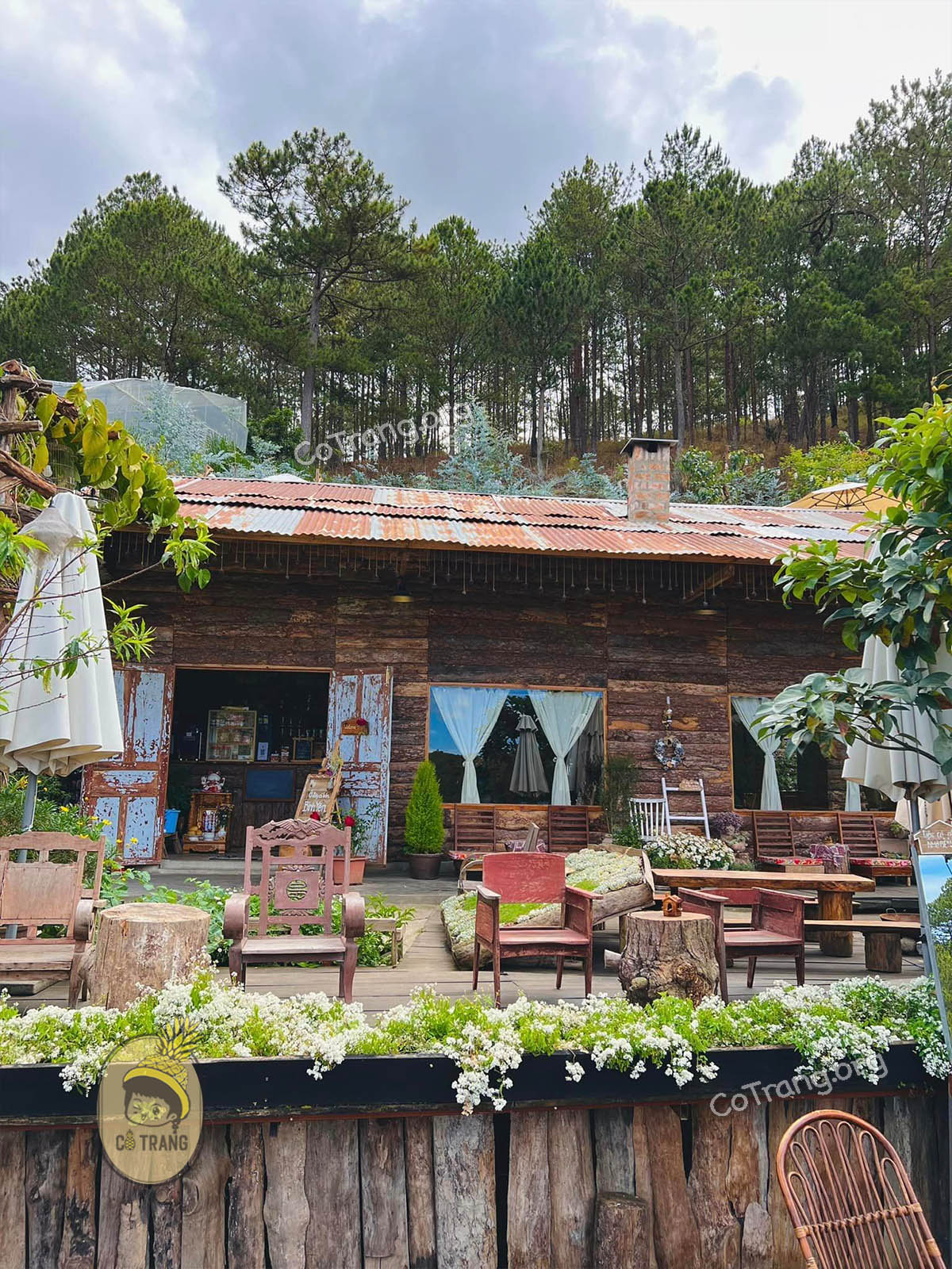 Góc check-in siêu xinh tại Tiệm Cafe Nhà Bên Rừng Đà Lạt 