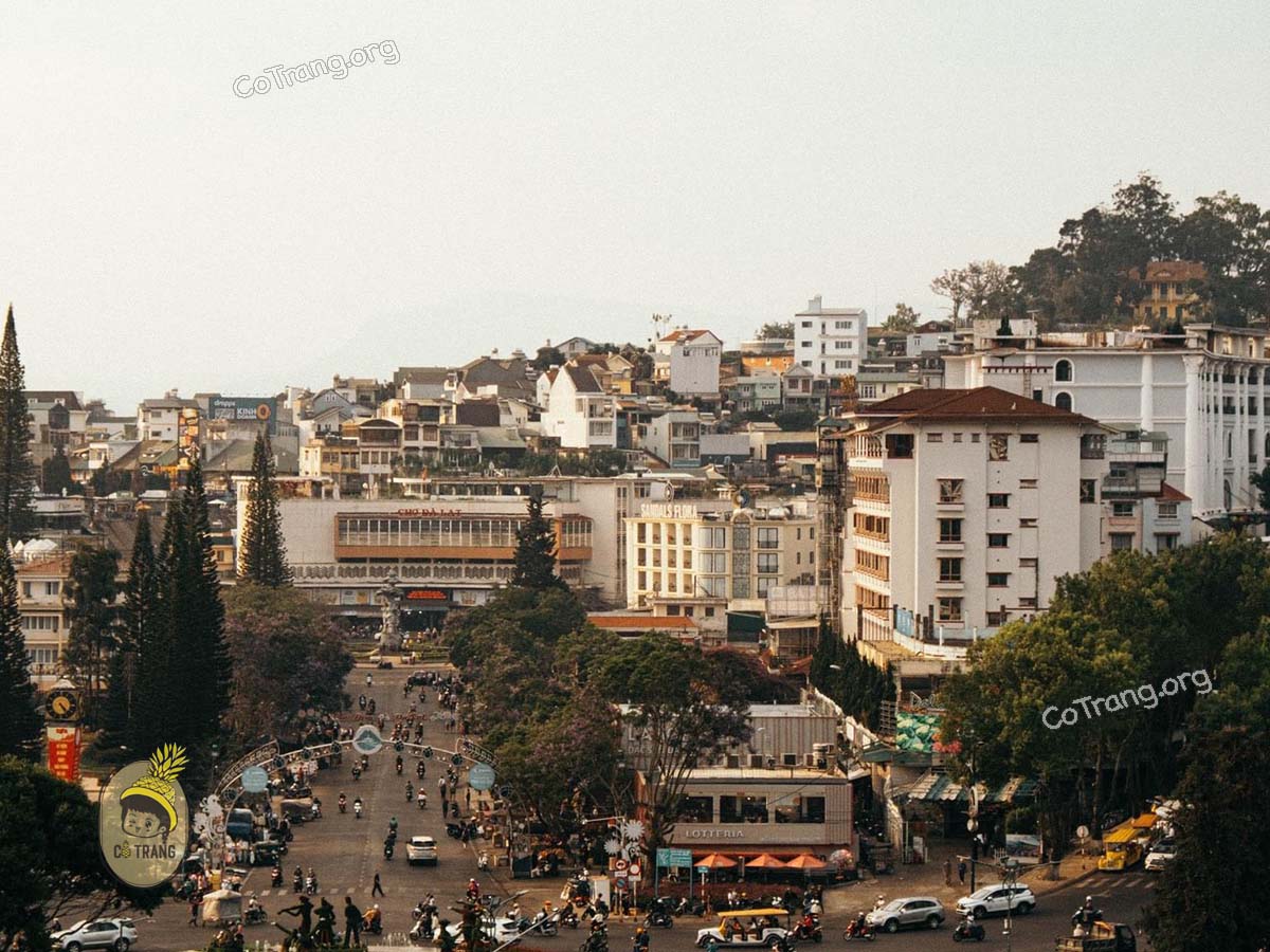 Chốn Bình Yên Coffee - 19 Lê Đại Hành, Đà Lạt