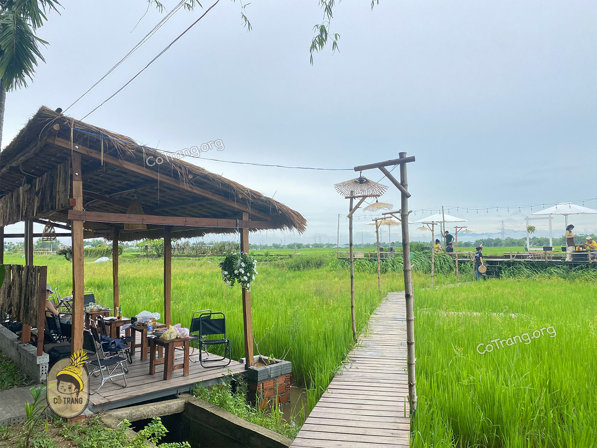 FIELD Coffee Đà Nẵng - kiệt 12 thôn Phong Nam, Hoà Vang