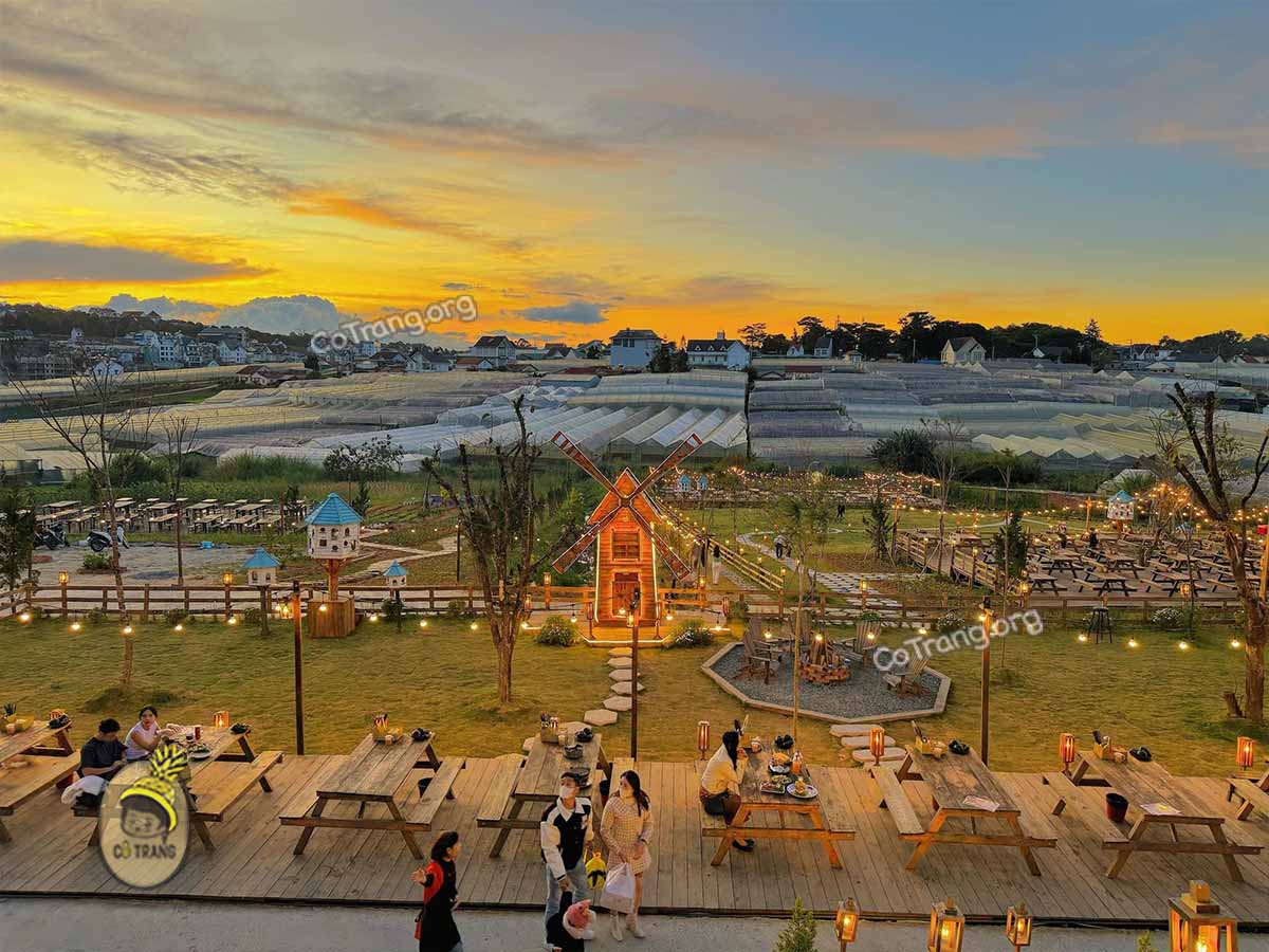 Tiệm Gà TukTuk - 39 Trần Đại Nghĩa, Đà Lạt