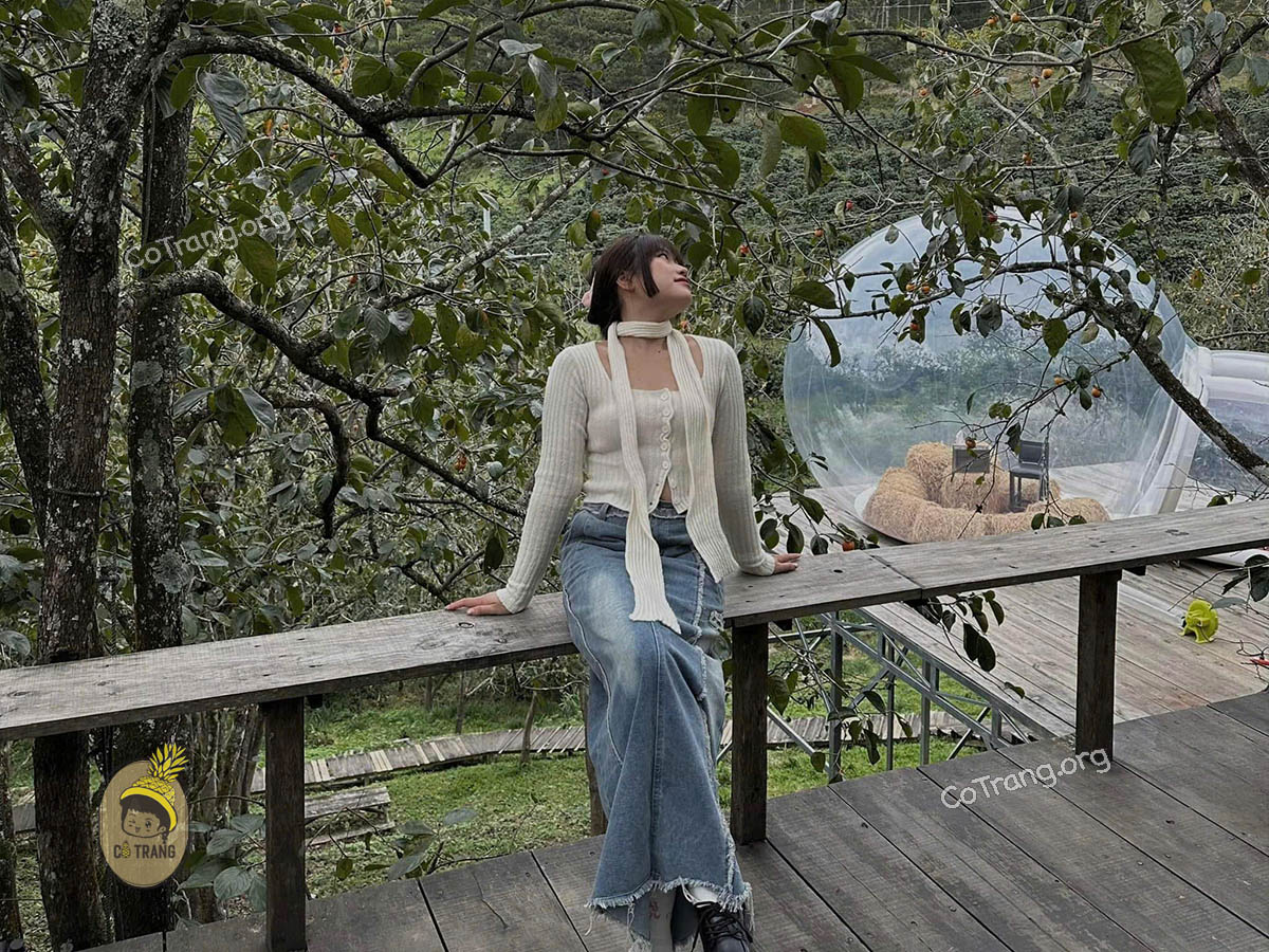 Góc check-in siêu mê tại Vườn Hồng Nhà TOM Đà Lạt