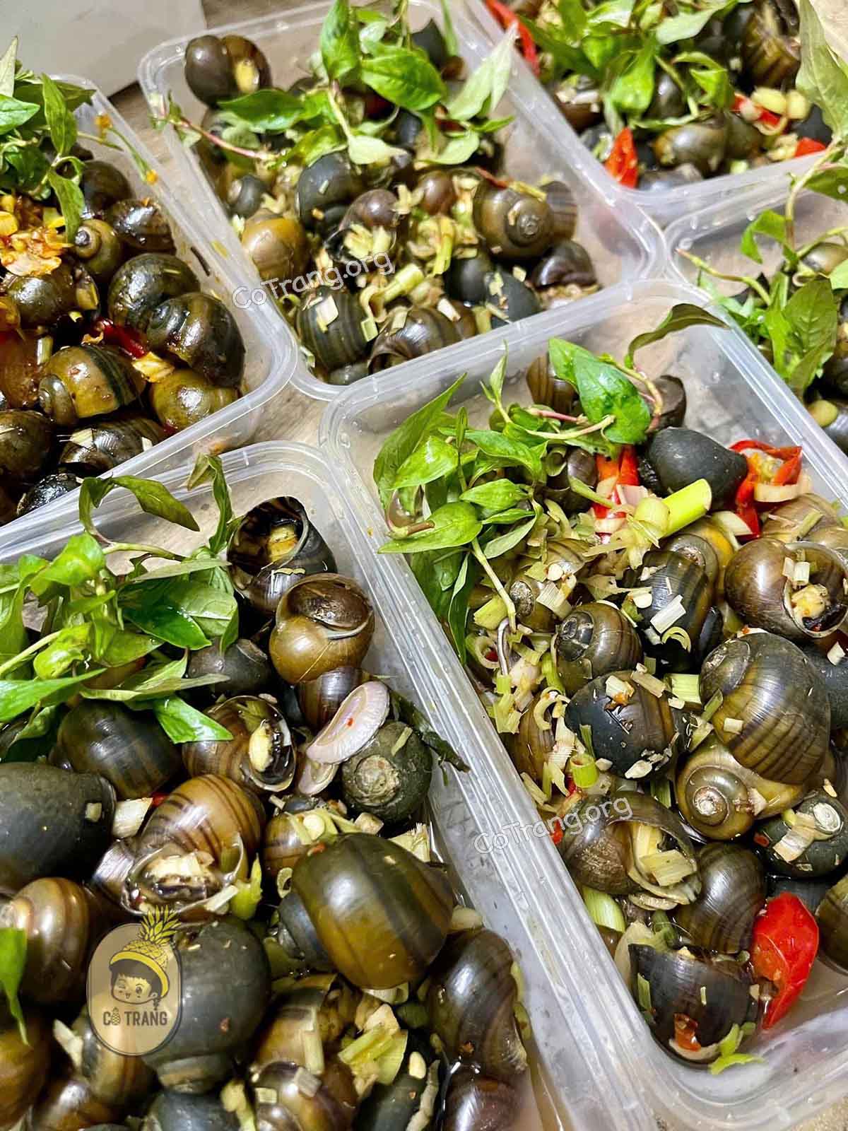 Hình ảnh thực tế Ốc Hút Đà Nẵng