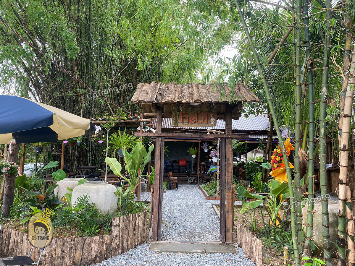 FIELD Coffee Đà Nẵng - kiệt 12 thôn Phong Nam, Hoà Vang