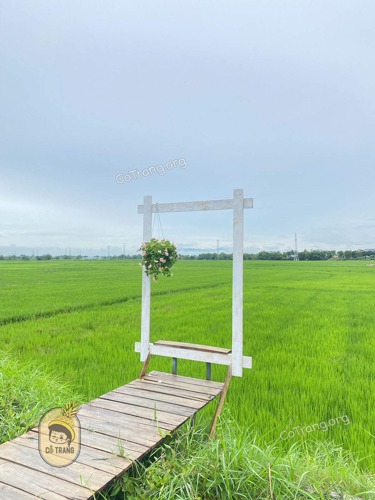 Không gian thực tế tại FIELD Coffee Đà Nẵng
