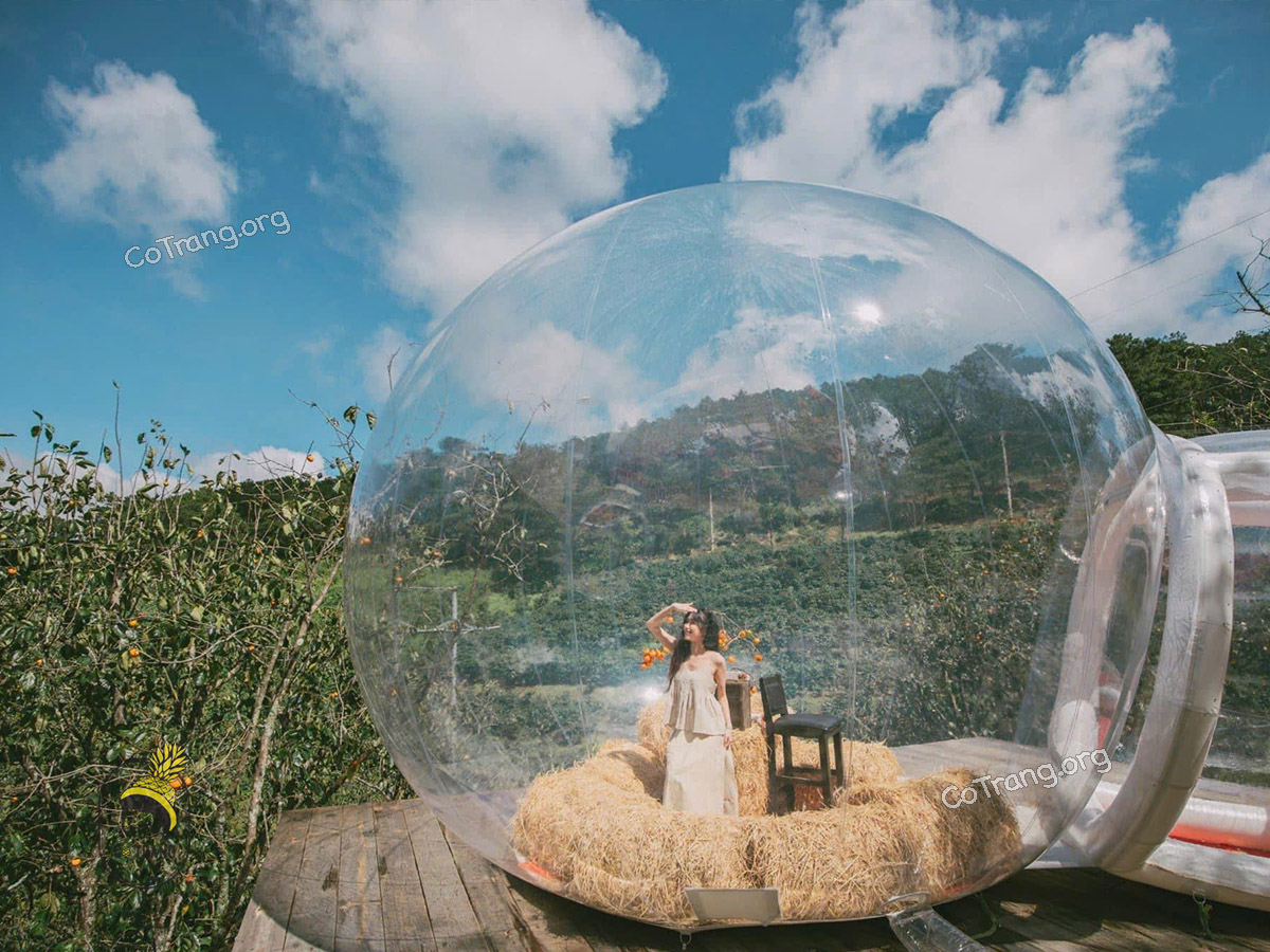 Vườn Hồng Nhà TOM - QL20, Xuân Trường