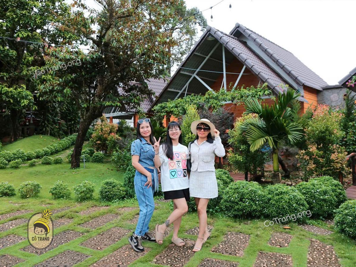 Sora Homestay - 206/18 Phù Đổng, Pleiku,Gia Lai