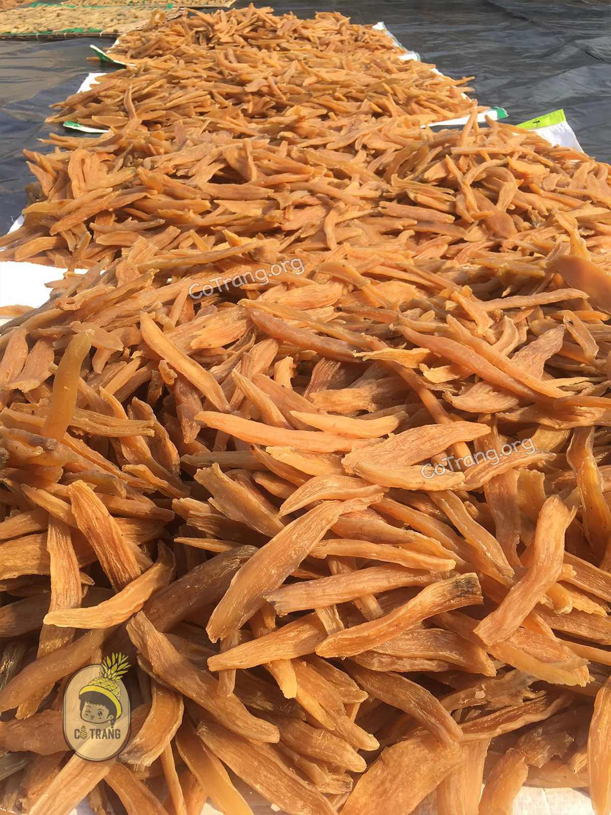 Hình ảnh thực tế Khoai Deo Quảng Bình