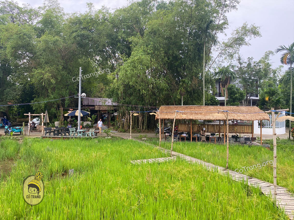 Không gian thực tế tại FIELD Coffee Đà Nẵng