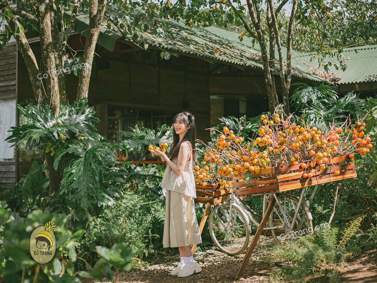 Góc check-in siêu mê tại Vườn Hồng Nhà TOM Đà Lạt