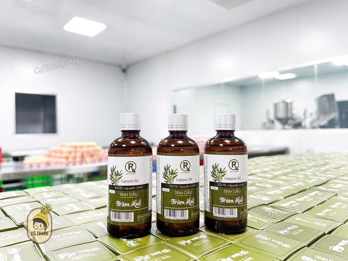 Tinh dầu Tràm Huế -  Tinh hoa dược liệu Cố Đô, đặc sản làm quà nổi tiếng
