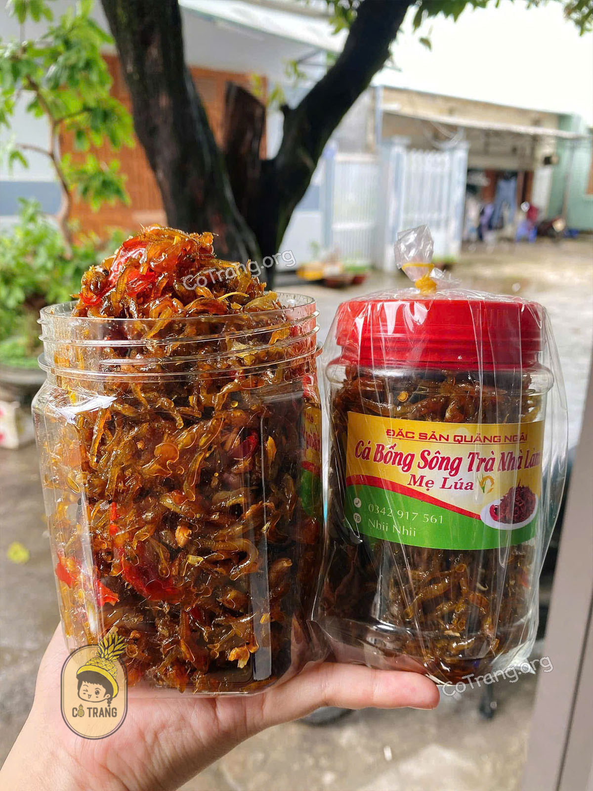 Hình ảnh thực tế Cá Bống Sông Trà (ảnh sưu tầm)