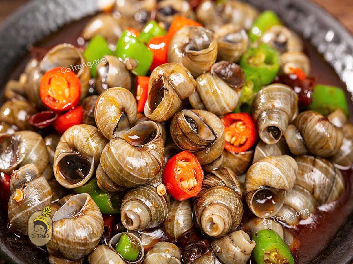 Ốc Hút Đà Nẵng - Món Ăn Đặc Sản Bình Dân