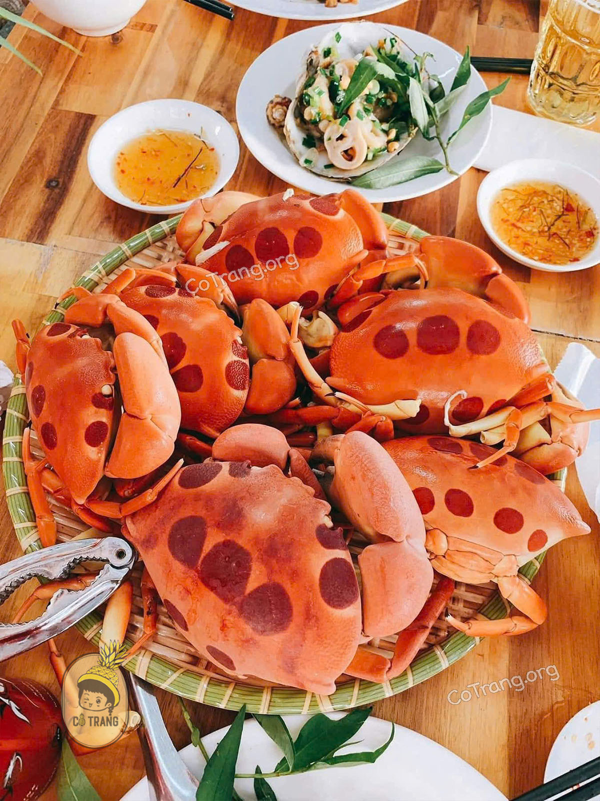 Cua Mặt Trăng Phú Quý – Đặc sản tươi ngon quý hiếm trên đảo
