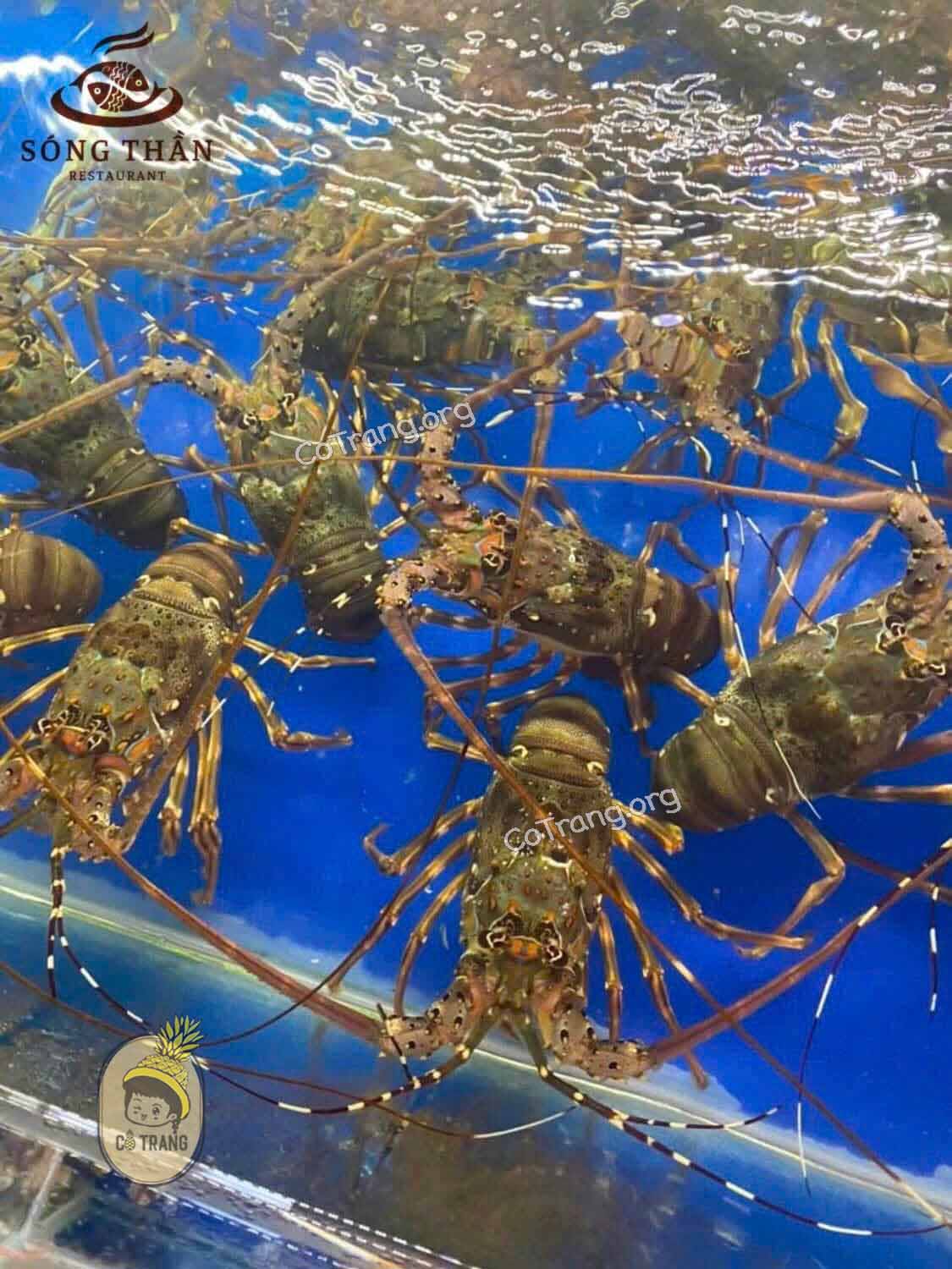 Nhà hàng nổi Sóng Thần - Hương Giang, Hải Đình, Đồng Hới