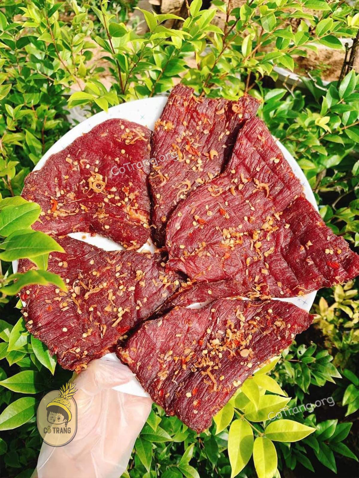 Hình ảnh Bò Một Nắng Gia Lai