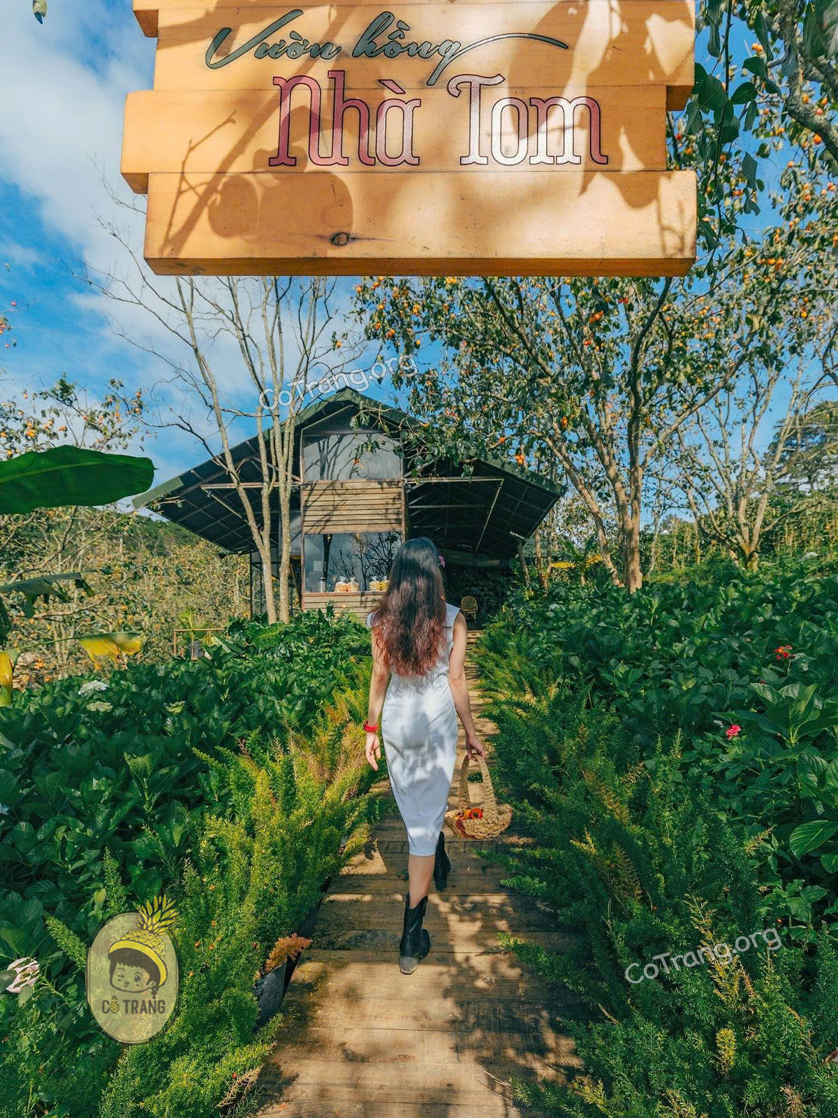 Góc check-in siêu mê tại Vườn Hồng Nhà TOM Đà Lạt