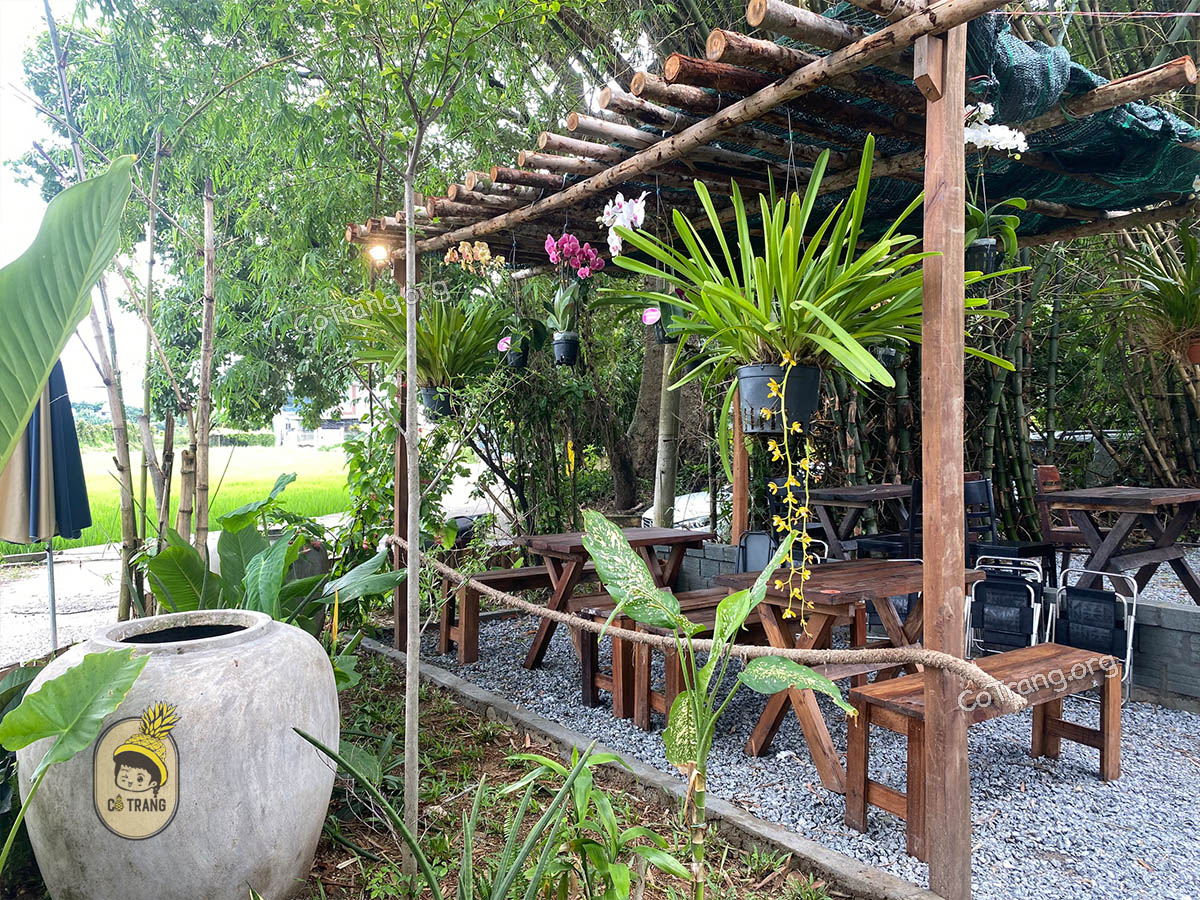 Không gian thực tế tại FIELD Coffee Đà Nẵng