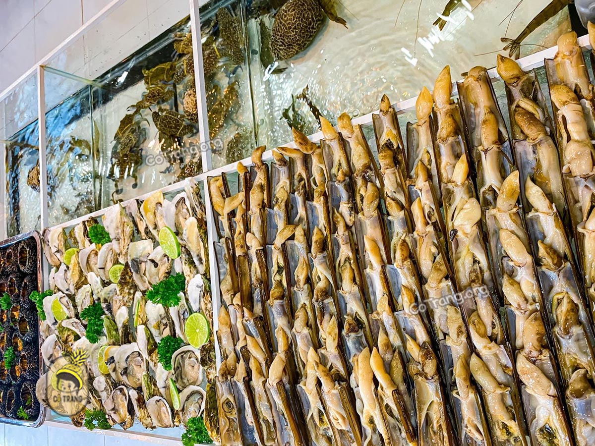 Buffet Zallo Viễn Triều Nha Trang - 17 Cao Văn Bé