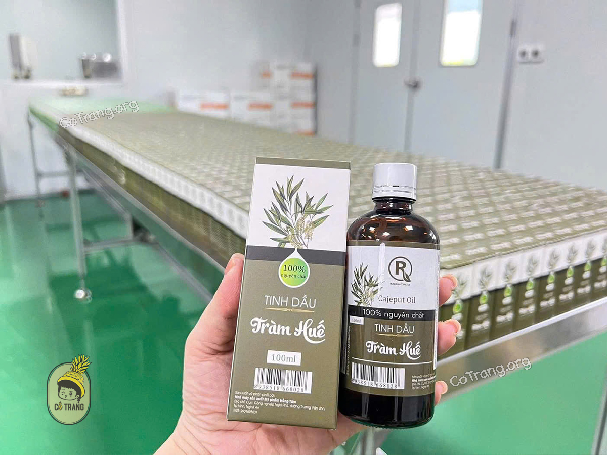 Tinh Dầu Tràm – Món Quà Thiên Nhiên Quý Giá