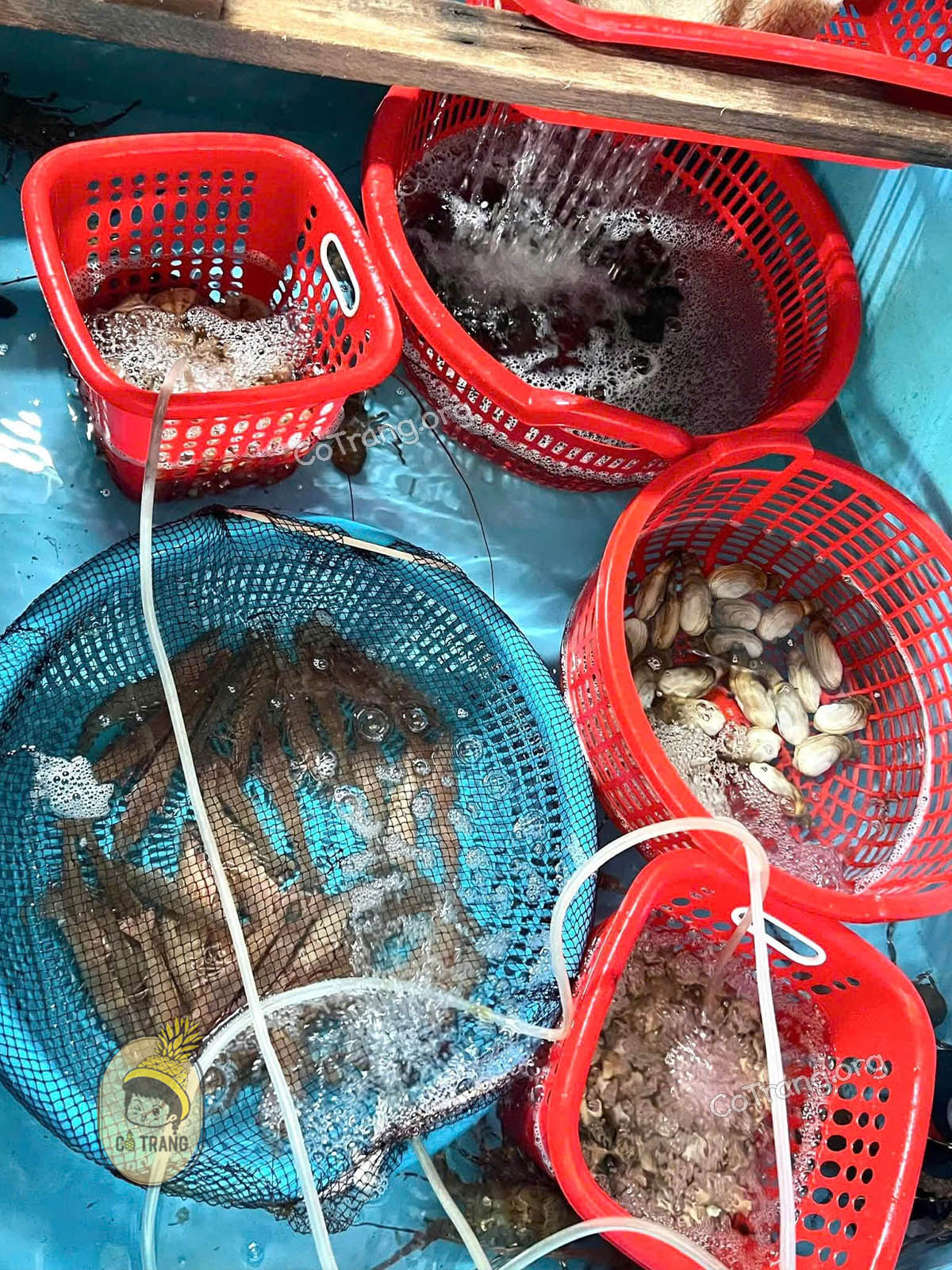 Quán Hải Đăng - 187 Trương Pháp, Bắc Lý, Đồng Hới, Quảng Bình