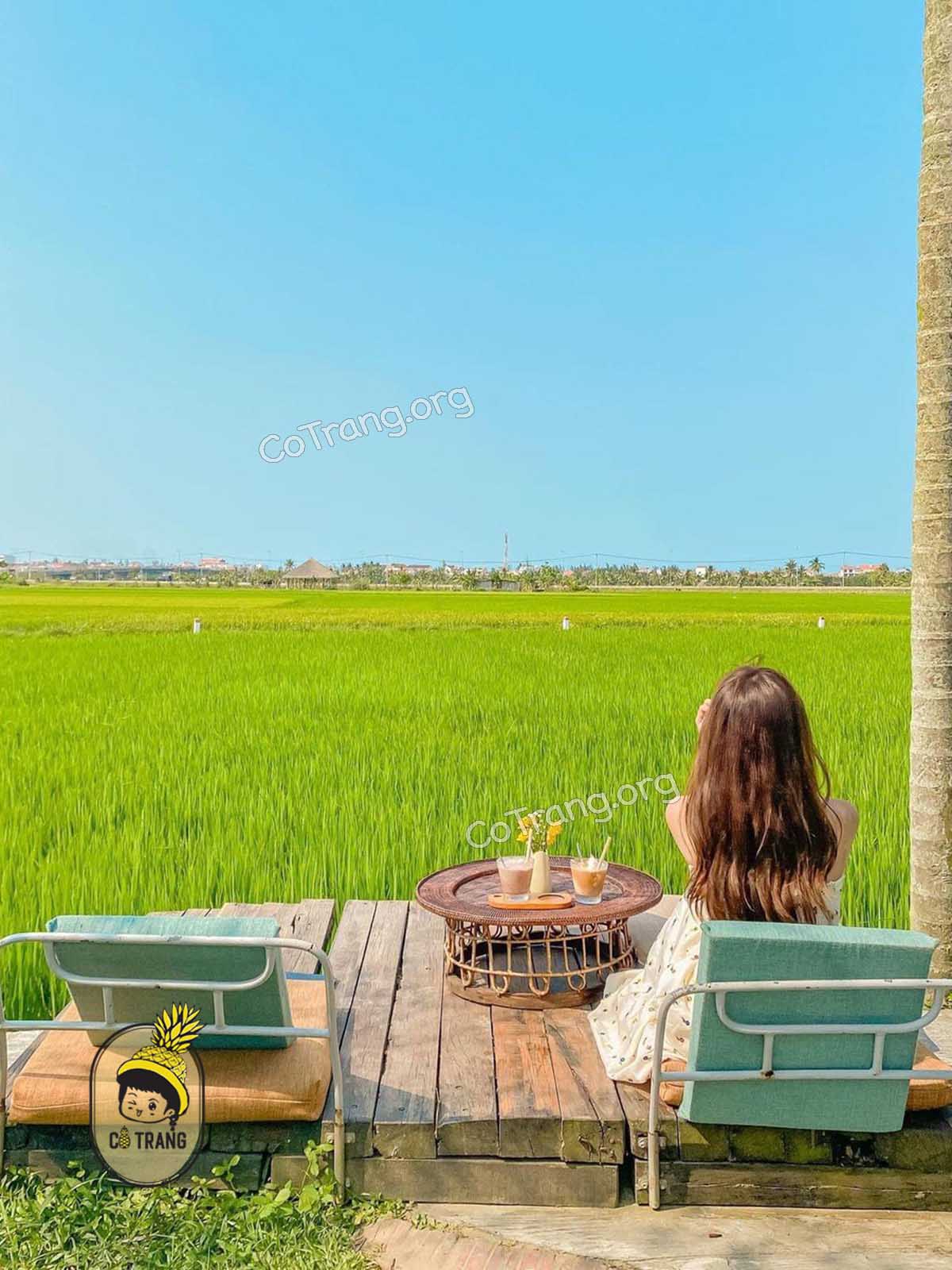 Roving ChillHouse - Nguyễn Trãi, Hội An