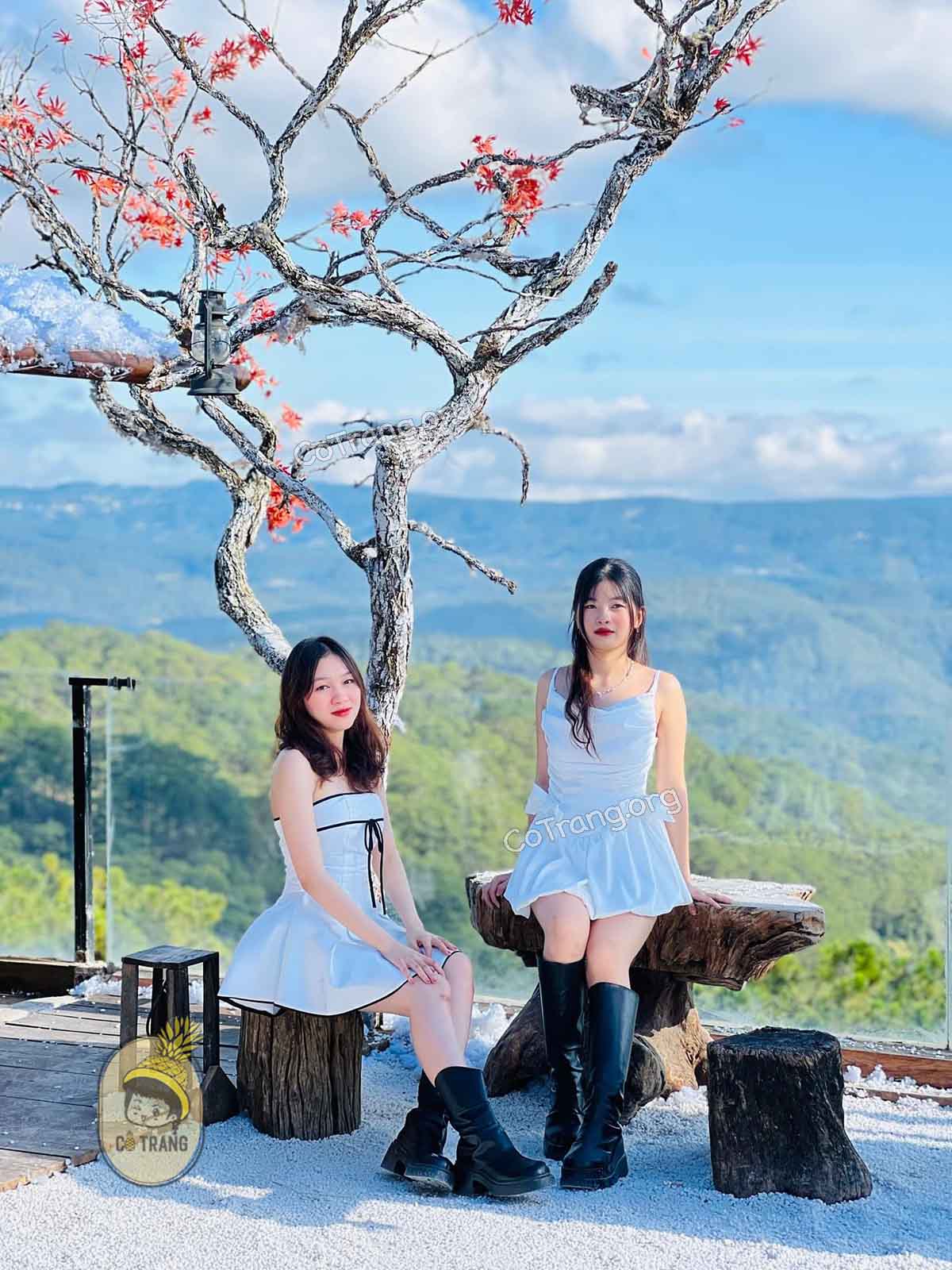 Hình ảnh thực tế tại Ngôi Nhà Nhỏ Trên Thảo Nguyên Cafe Đà Lạt