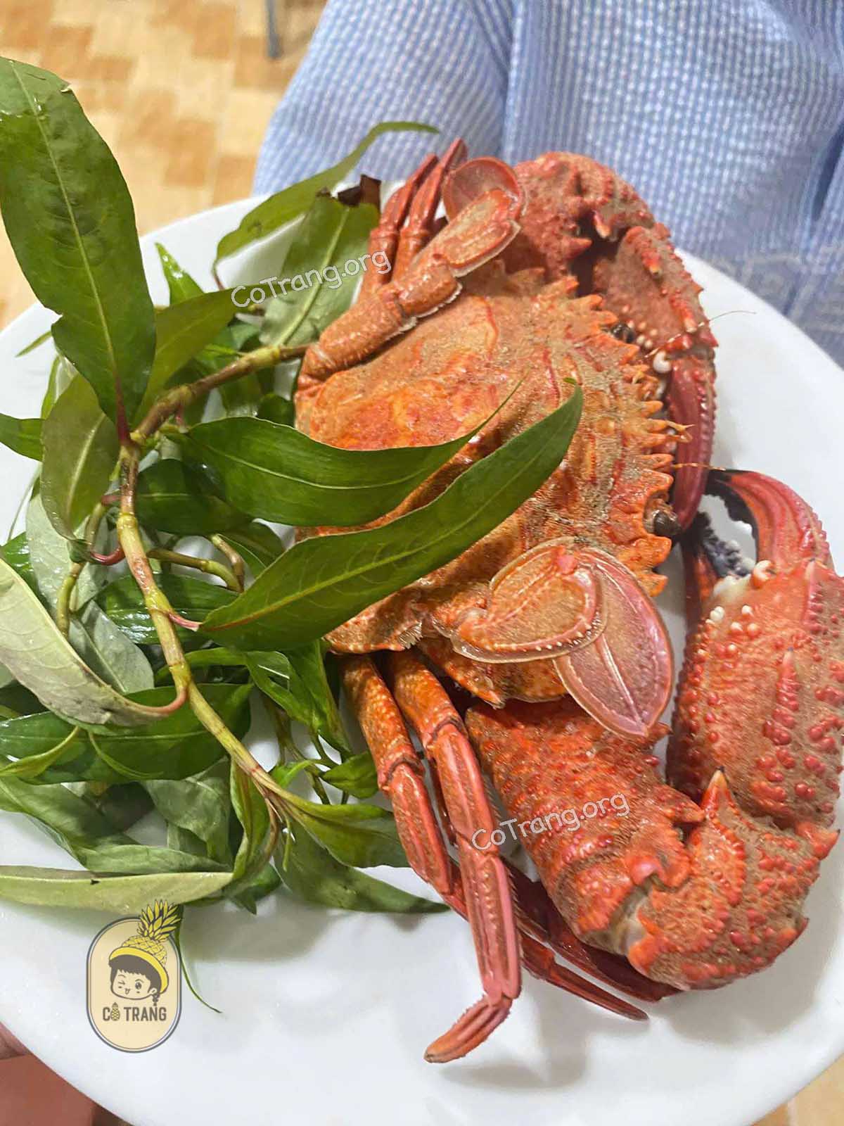 Menu thức ăn tại Hải Sản Quán 108 Phú Quý