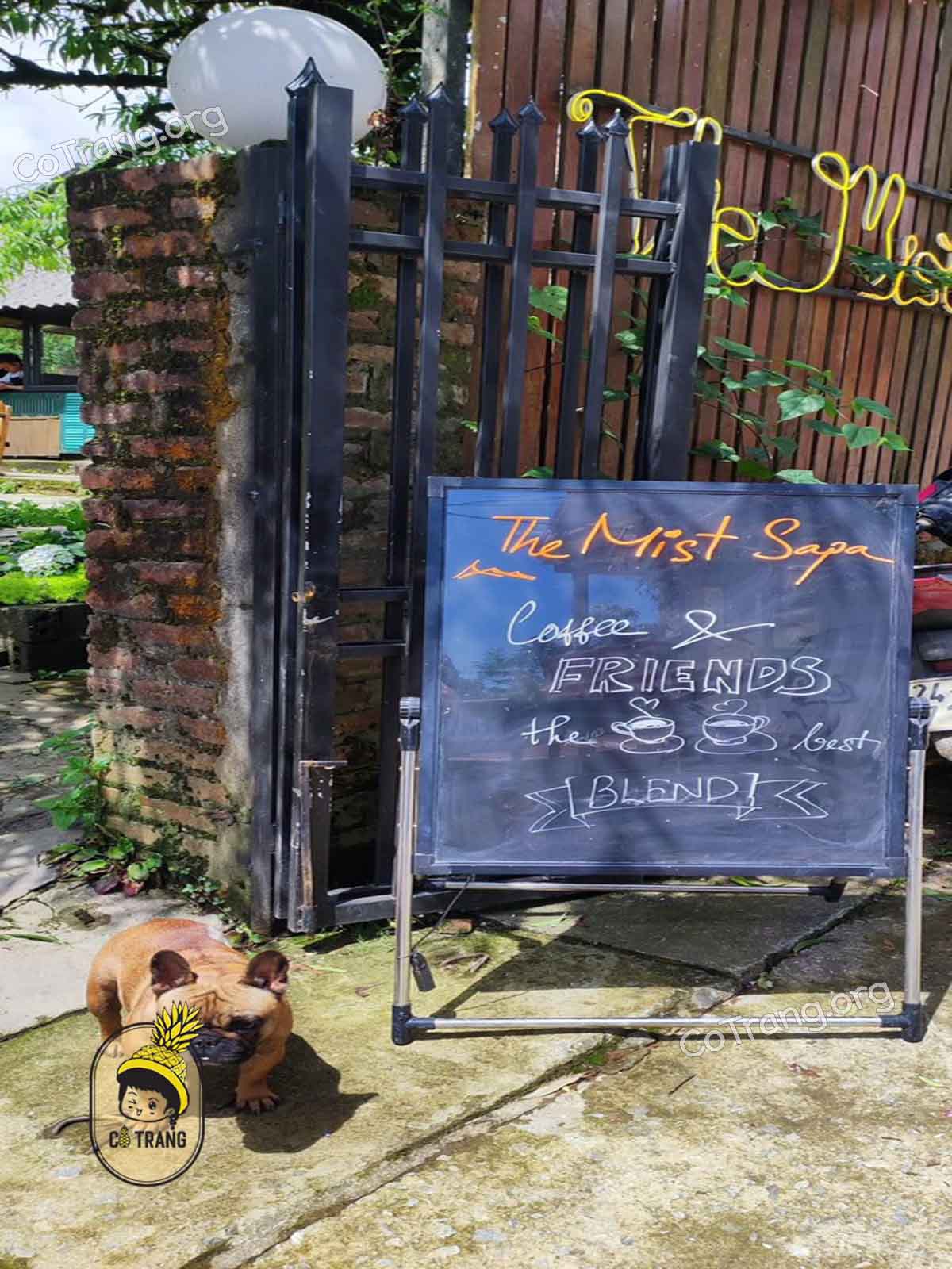 Menu và góc sống ảo tại The Mist SaPa 