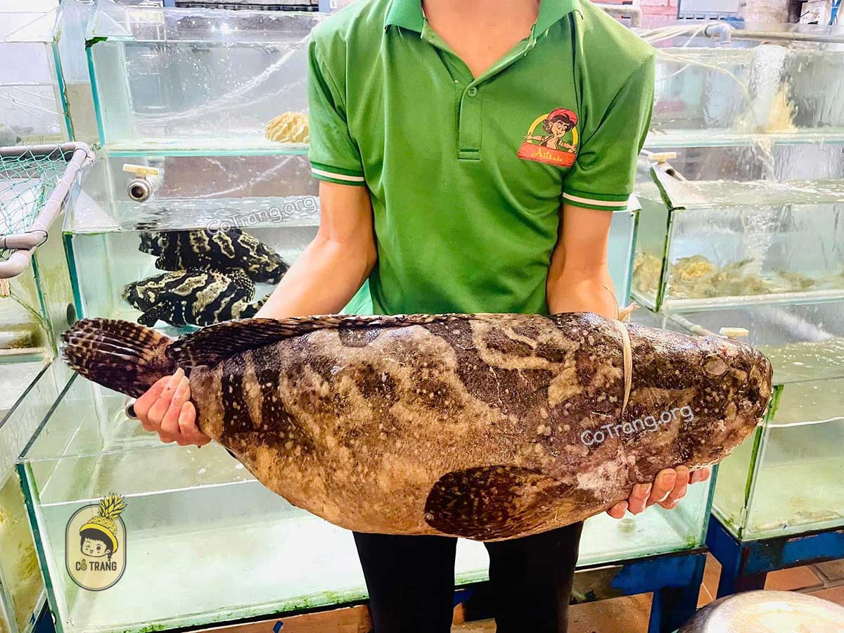 Nhà Hàng Alibaba - 139 Phan Bội Châu, Quảng Ngãi