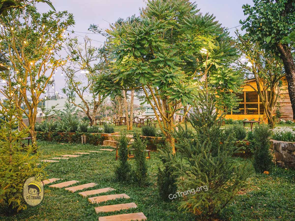 Không gian thực tế tại Là Thương Gia Lai