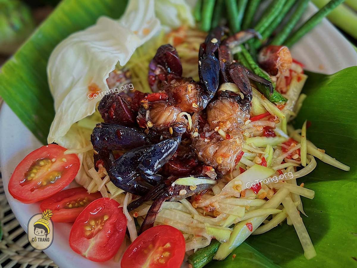Thái Ngò Rí - Nhà Hàng Thái Ngon, Nổi Tiếng Nhất Nhì Nha Trang, Menu, Review 