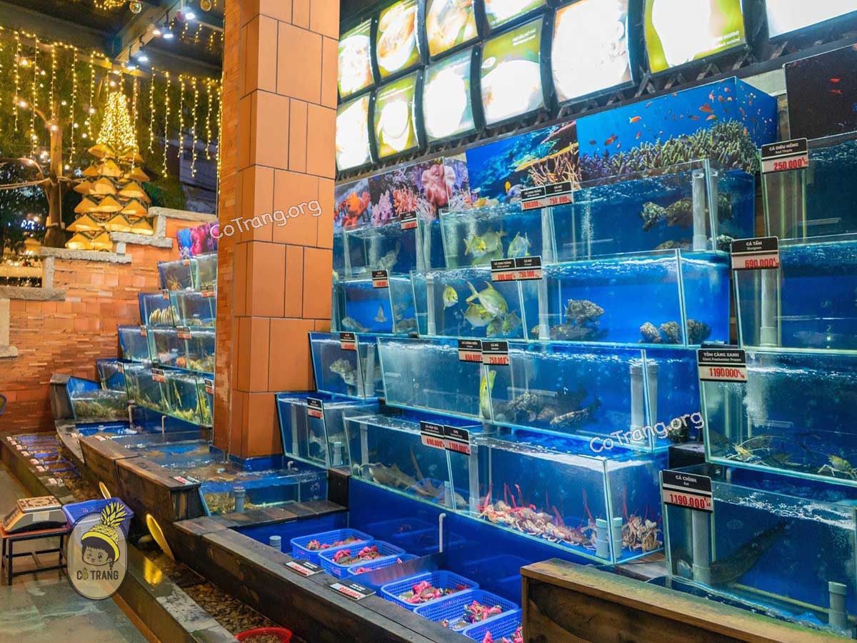 Không gian thữ tế tại brilliant seafood