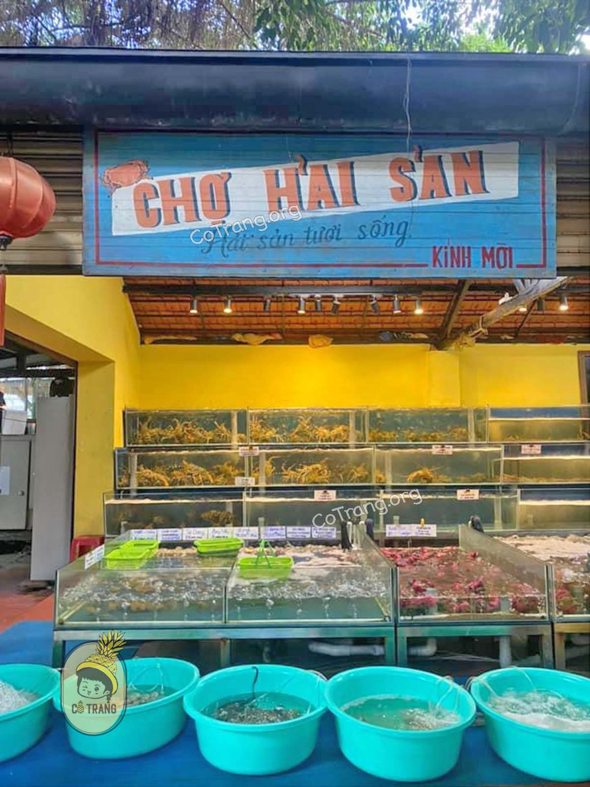 Không gian thực tế tại Hải Sản Mộc Quán Đà Nẵng