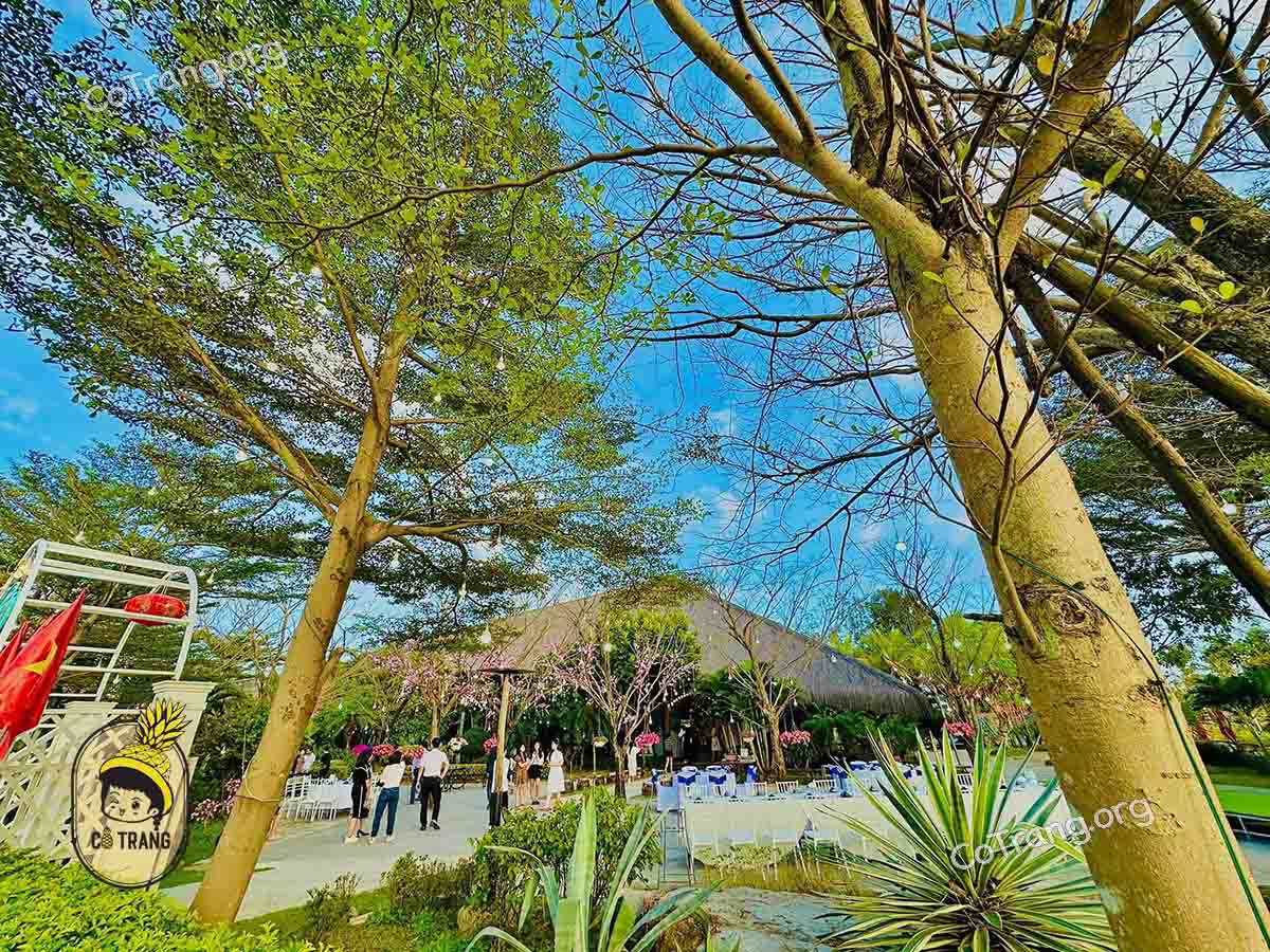 Không gian thực tế tại Nhà Hàng SaboChi Tuệ Lâm Đồng Hới