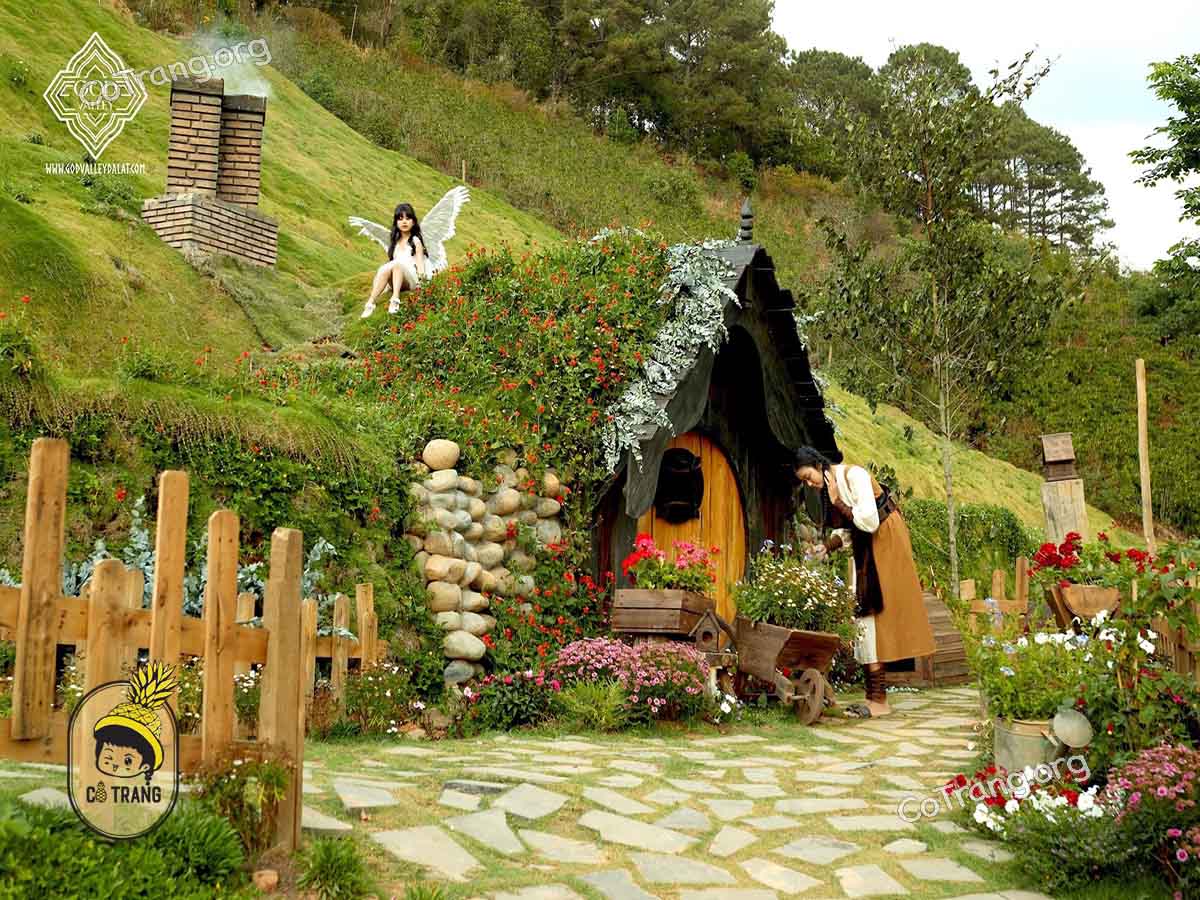 Không gian thực tế tại God Valley Đà Lạt  