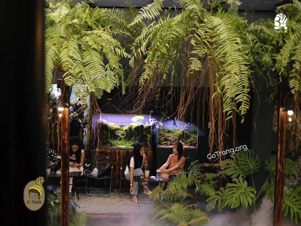 34 Tropical - 155 Lê Đình Lý, Đà Nẵng