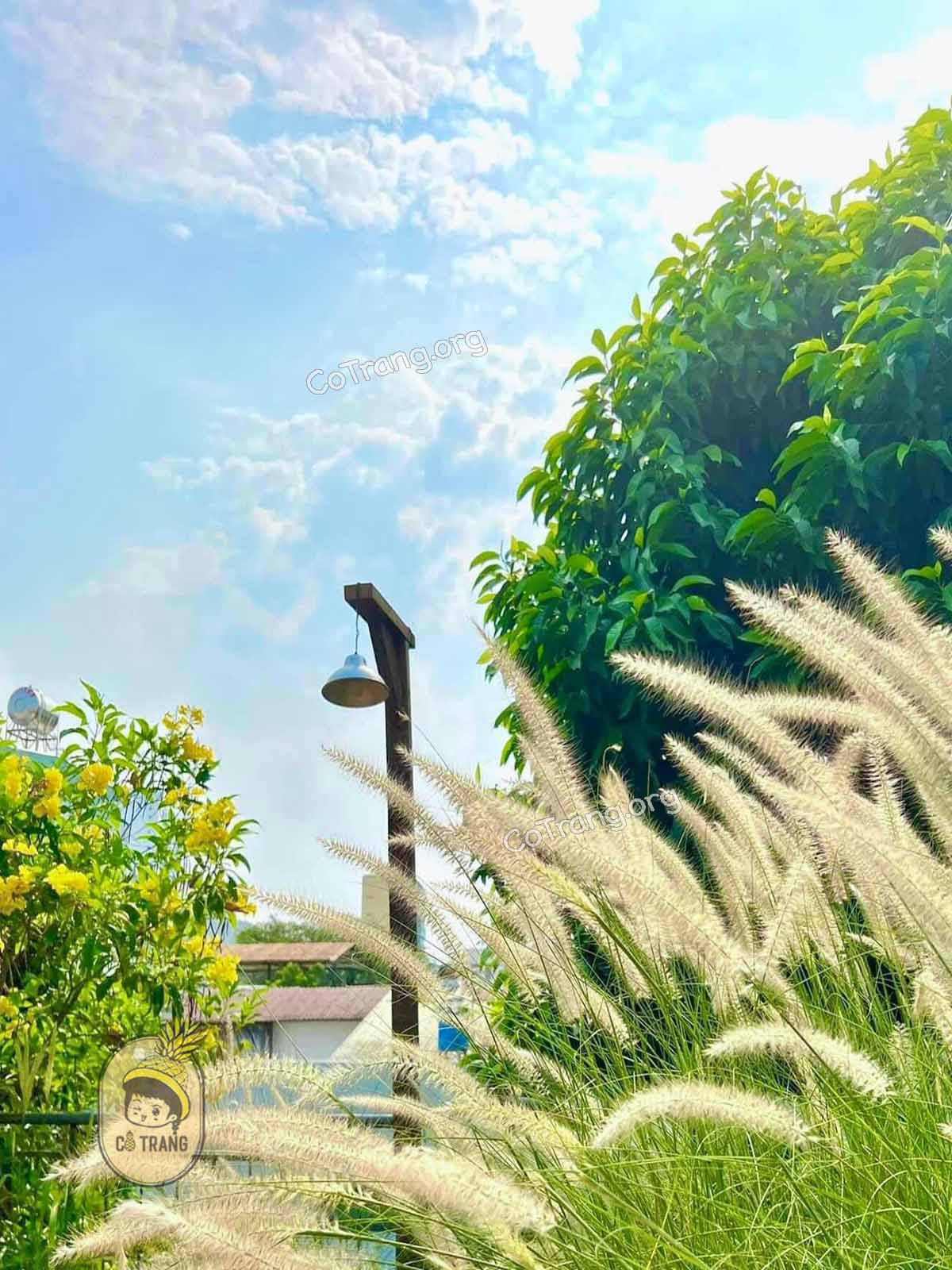 Không gian thực tế tại The 59 Cafe Đà Nẵng