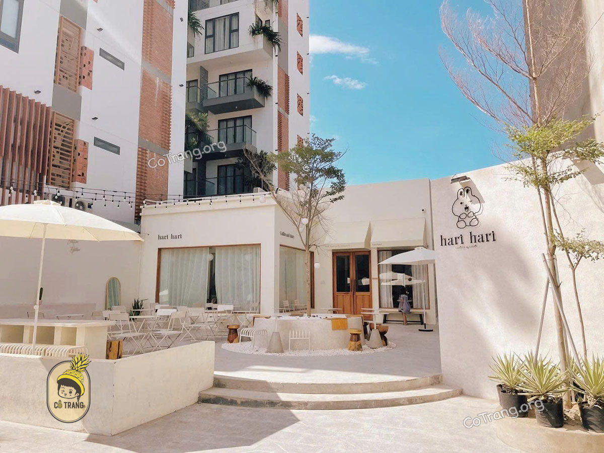 Hari Hari Quy Nhơn - Cafe Checkin Xinh Lung Linh với Style Hàn Quốc, Menu, Review