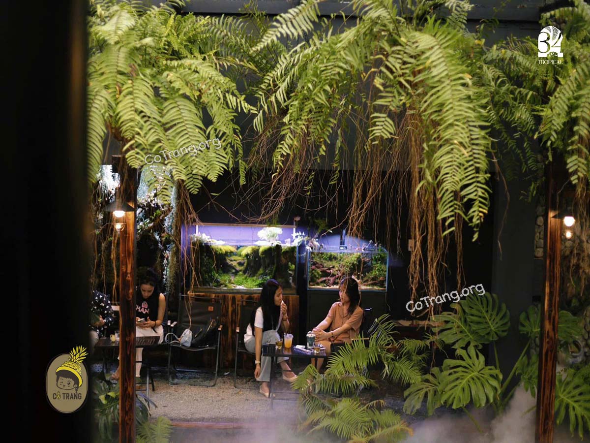 Không gian thực tế tại 34 Tropical Đà Nẵng