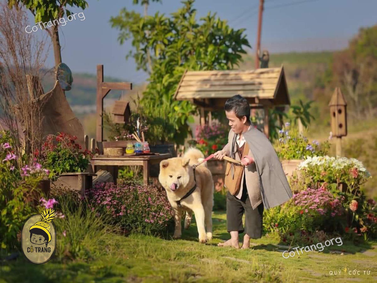 Không gian thực tế tại God Valley Đà Lạt  