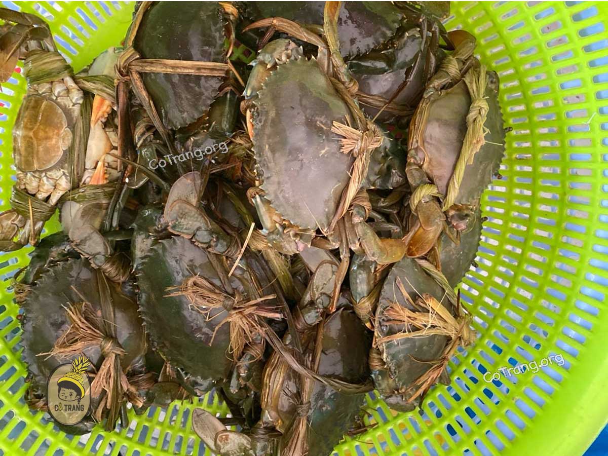 Không gian thực tế tại Hải Sản Bà Rô Đà Nẵng