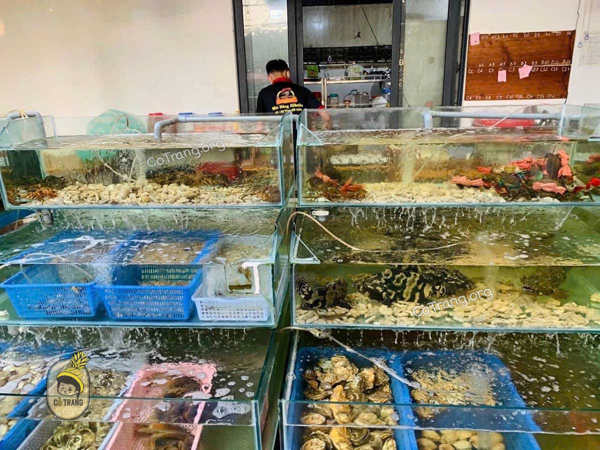 Nhà hàng Alibaba Quảng Ngãi - Toạ độ thưởng thức Hải Sản tươi ngon, menu, review